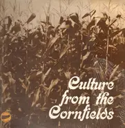 The Greater DeKalb Area Municipal Foot Stompin' Ensemble - culture from the cornfields