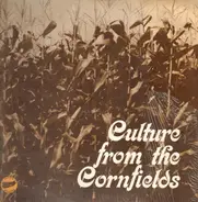 The Greater DeKalb Area Municipal Foot Stompin' Ensemble - culture from the cornfields