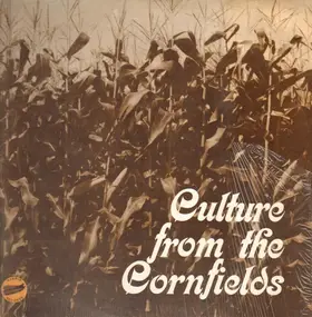 The Greater DeKalb Area Municipal Foot Stompin' E - culture from the cornfields