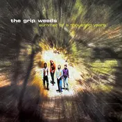 The Grip Weeds - Summer of a Thousand Years