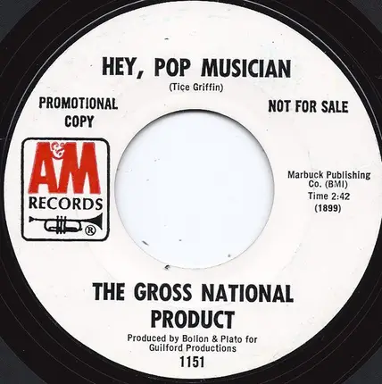 The Gross National Product - Alice McCrea / Hey, Pop Musician