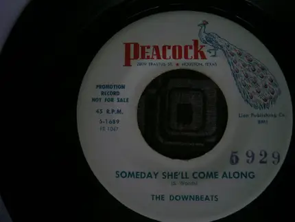 The Downbeats - Someday She'll Come Along