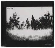 CD - The Dodos - No Color