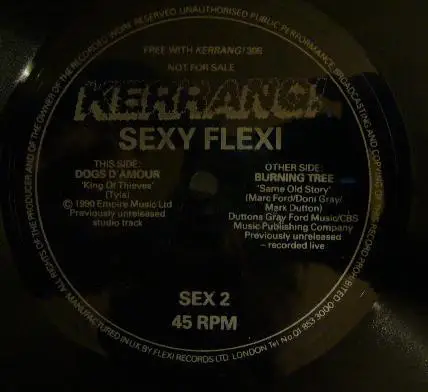 The Dogs D'Amour / Burning Tree - Sexy Flexi