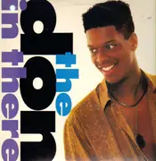 12inch Vinyl Single - The Don - In There