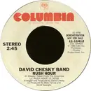 7inch Vinyl Single - The David Chesky Band - Rush Hour