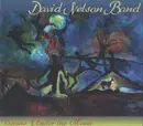 CD - The David Nelson Band - Visions Under The Moon