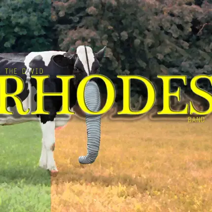 The David Rhodes Band - The David Rhodes Band