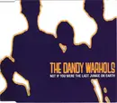CD Single - The Dandy Warhols - Not If You Were The Last Junkie On Earth