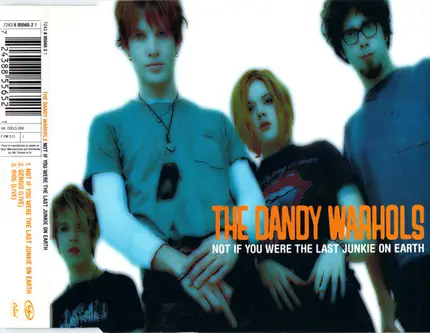 The Dandy Warhols - Not If You Were The Last Junkie On Earth