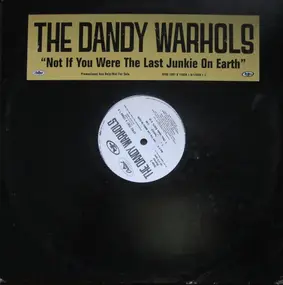 The Dandy Warhols - Not If You Were The Last Junkie On Earth