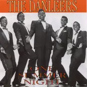 The Danleers - One Summer Night