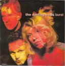 7inch Vinyl Single - The Darling Buds - Burst
