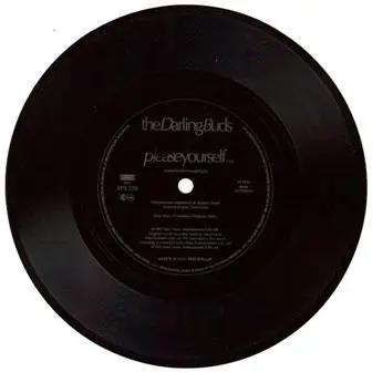 The Darling Buds - Please Yourself