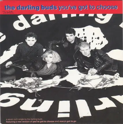 The Darling Buds - You've Got To Choose