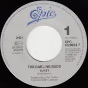 7inch Vinyl Single - The Darling Buds - Burst