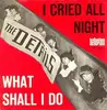 7inch Vinyl Single - The Details - I Cried All Night / What Shall I Do