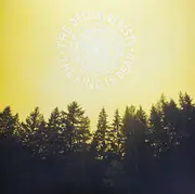 LP - The Decemberists - The King Is Dead