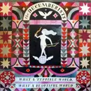 Double LP - The Decemberists - What A Terrible World, What A Beautiful World - 180g