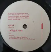 7inch Vinyl Single - The Decorators - Twilight View