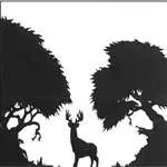 The Deer Tracks - Aurora