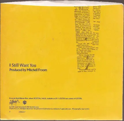 The Del Fuegos - I Still Want You