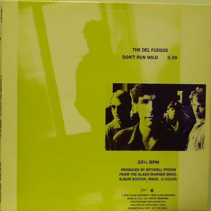 The Del Fuegos - Don't Run Wild