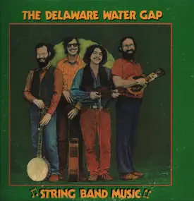 The Delaware Water Gap - String Band Music