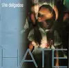 LP - The Delgados - Hate