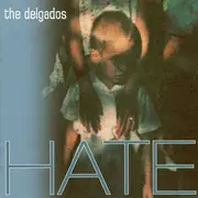 CD - The Delgados - Hate