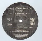 The Delinquents - Like What / Silly Ni##a