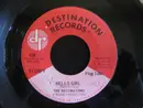 7inch Vinyl Single - The Destinations - Hello Girl / With You