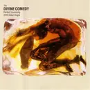 Music DVD - The Divine Comedy - Perfect Lovesong