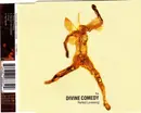 CD Single - The Divine Comedy - Perfect Lovesong