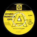7inch Vinyl Single - The Dixies - Little Arrows