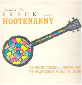 The Dillards - Beautiful Hair Breck Presents A Hootenanny