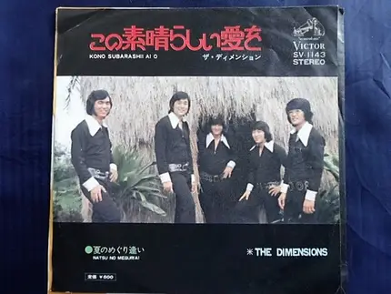 The Dimensions - この素晴らしい愛を