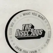 12inch Vinyl Single - The Disco Boys - What You Want