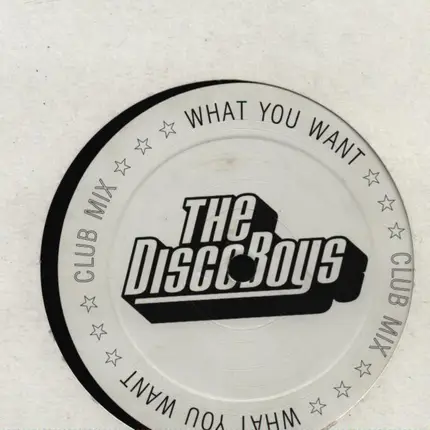 The Disco Boys - WHAT YOU WANT