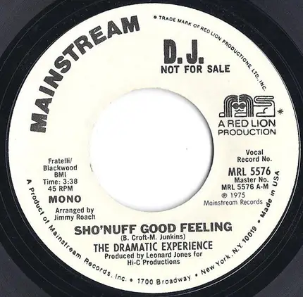 The Dramatic Experience - Sho'Nuff Good Feeling