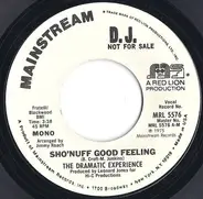 The Dramatic Experience - Sho'Nuff Good Feeling