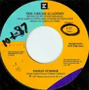 7inch Vinyl Single - The Dream Academy - Indian Summer