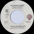 7inch Vinyl Single - The Dream Academy - Life In A Northern Town