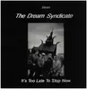 LP - The Dream Syndicate - It's Too Late To Stop Now