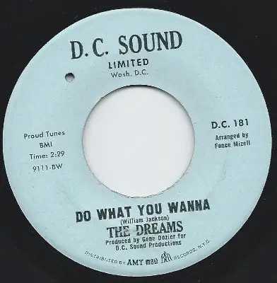 The Dreams - Do What You Wanna