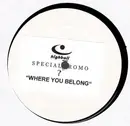 12inch Vinyl Single - The Driver Project - Where You Belong - Stickered