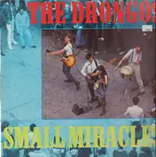 The Drongos