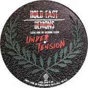 12inch Vinyl Single - The Drowns - Hold Fast Demons - Picture Disc