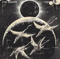 The Ducks - High Flyin'