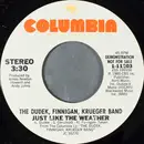 7inch Vinyl Single - The Dudek Finnigan Krueger Band - Just Like the Weather